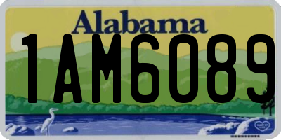 AL license plate 1AM6089