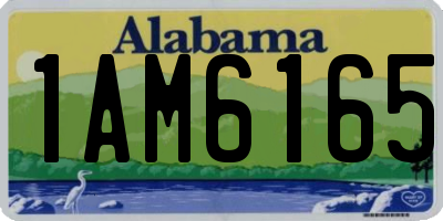 AL license plate 1AM6165