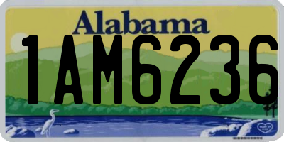 AL license plate 1AM6236