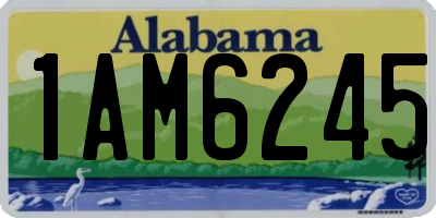 AL license plate 1AM6245