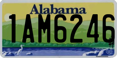 AL license plate 1AM6246