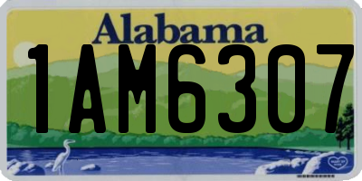 AL license plate 1AM6307