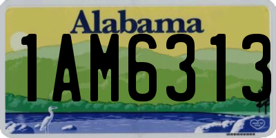 AL license plate 1AM6313
