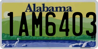 AL license plate 1AM6403
