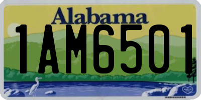 AL license plate 1AM6501