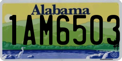 AL license plate 1AM6503