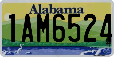 AL license plate 1AM6524
