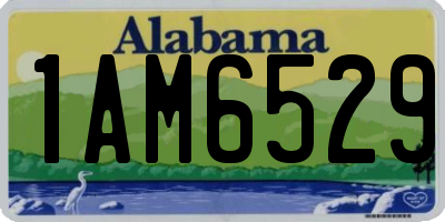 AL license plate 1AM6529