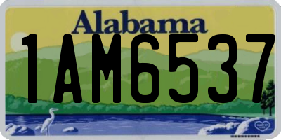 AL license plate 1AM6537