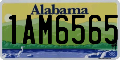 AL license plate 1AM6565