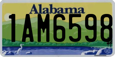 AL license plate 1AM6598