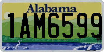 AL license plate 1AM6599