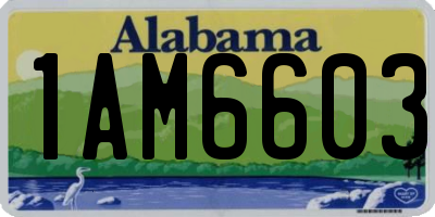 AL license plate 1AM6603