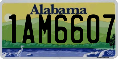 AL license plate 1AM6607