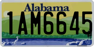 AL license plate 1AM6645