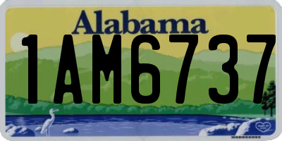 AL license plate 1AM6737