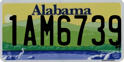 AL license plate 1AM6739