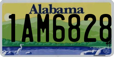 AL license plate 1AM6828