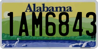 AL license plate 1AM6843