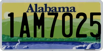 AL license plate 1AM7025