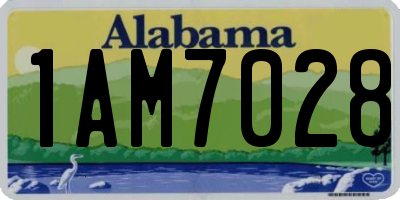 AL license plate 1AM7028