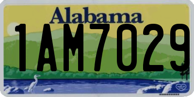 AL license plate 1AM7029