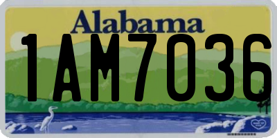 AL license plate 1AM7036