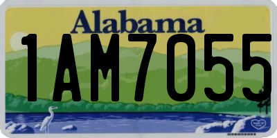 AL license plate 1AM7055