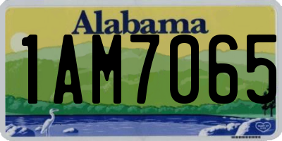 AL license plate 1AM7065