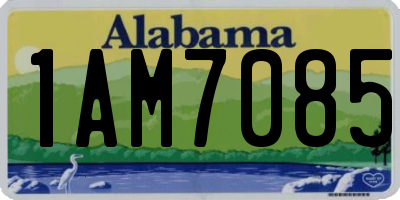 AL license plate 1AM7085