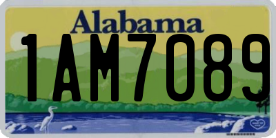 AL license plate 1AM7089
