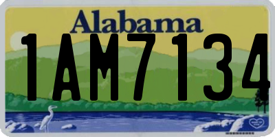 AL license plate 1AM7134