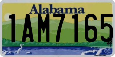 AL license plate 1AM7165