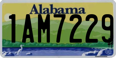 AL license plate 1AM7229