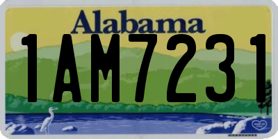 AL license plate 1AM7231