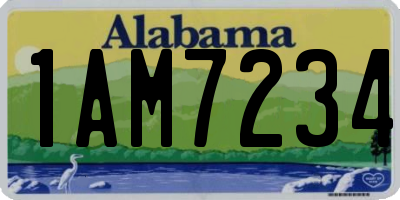 AL license plate 1AM7234