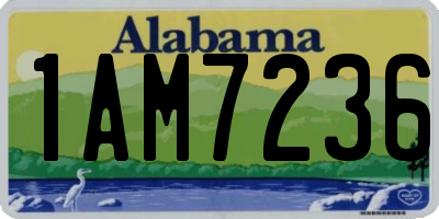 AL license plate 1AM7236