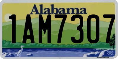 AL license plate 1AM7307