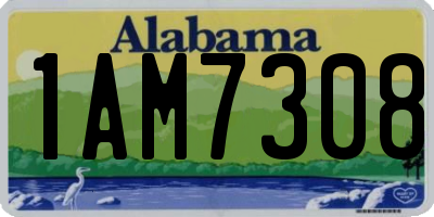 AL license plate 1AM7308