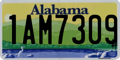 AL license plate 1AM7309