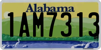 AL license plate 1AM7313