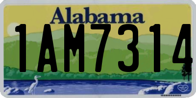AL license plate 1AM7314