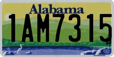 AL license plate 1AM7315