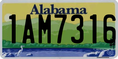 AL license plate 1AM7316