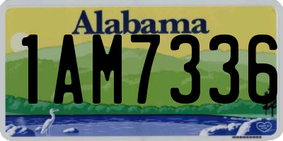 AL license plate 1AM7336