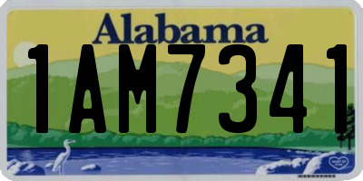 AL license plate 1AM7341