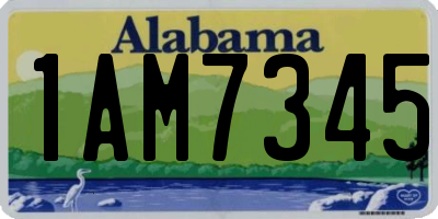 AL license plate 1AM7345