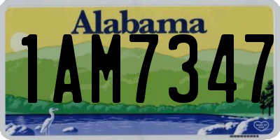 AL license plate 1AM7347