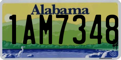 AL license plate 1AM7348