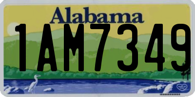 AL license plate 1AM7349